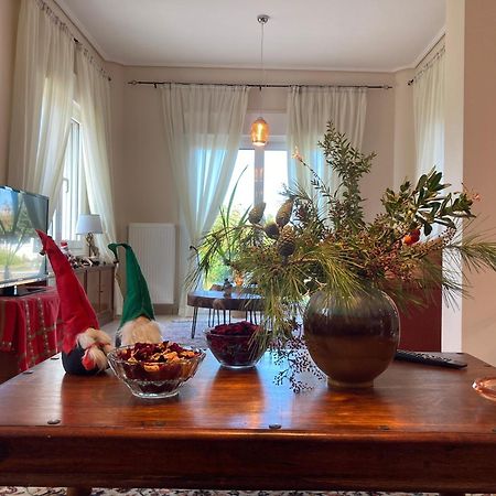 Agioi Apostoloi  Brina'S Luxury Apartments מראה חיצוני תמונה
